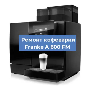 Чистка кофемашины Franke A 600 FM от кофейных масел в Тюмени